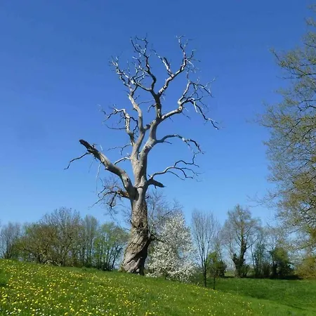 L'eco-ferme De Fangorn -