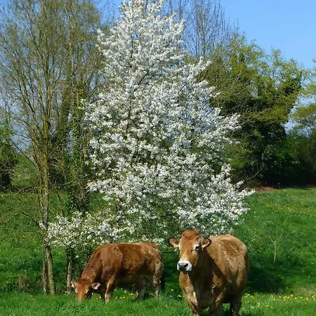 L'eco-ferme De Fangorn - Pougne-Hérisson